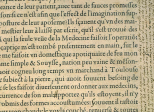 L'humanisme à la Renaissance : les lettres en ébullition