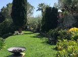 Sacrés jardins!