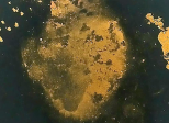 Heart (Acquis, indisponible à la vente)