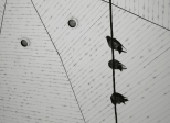 Mémoire des Chutes