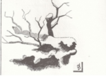 Anecdote météo, neige fin avril 1765 à Carcassonne