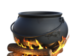 Autour  du  pot