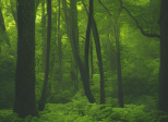 Biopesticides