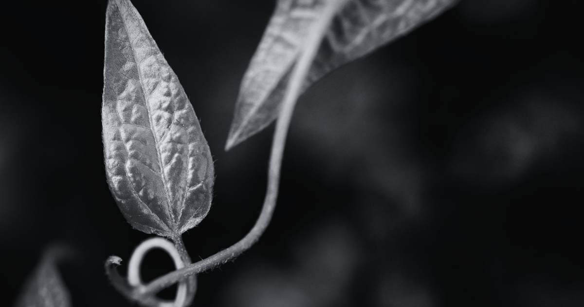 De la Pierre à l'Eau