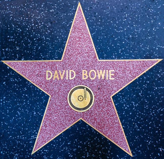 David Bowie - Une folle fraternité