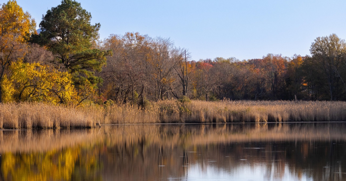 Etang