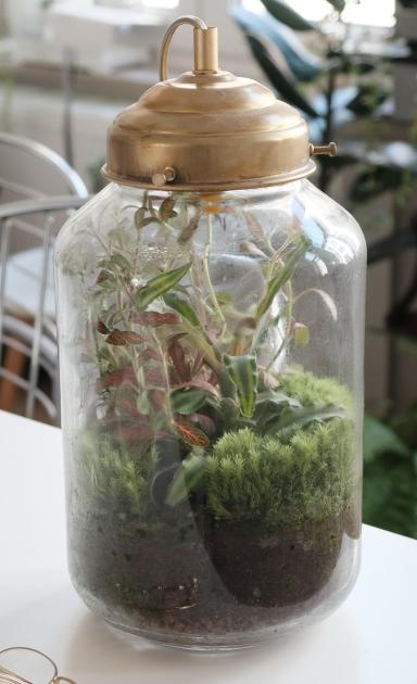Terrarium - part 1