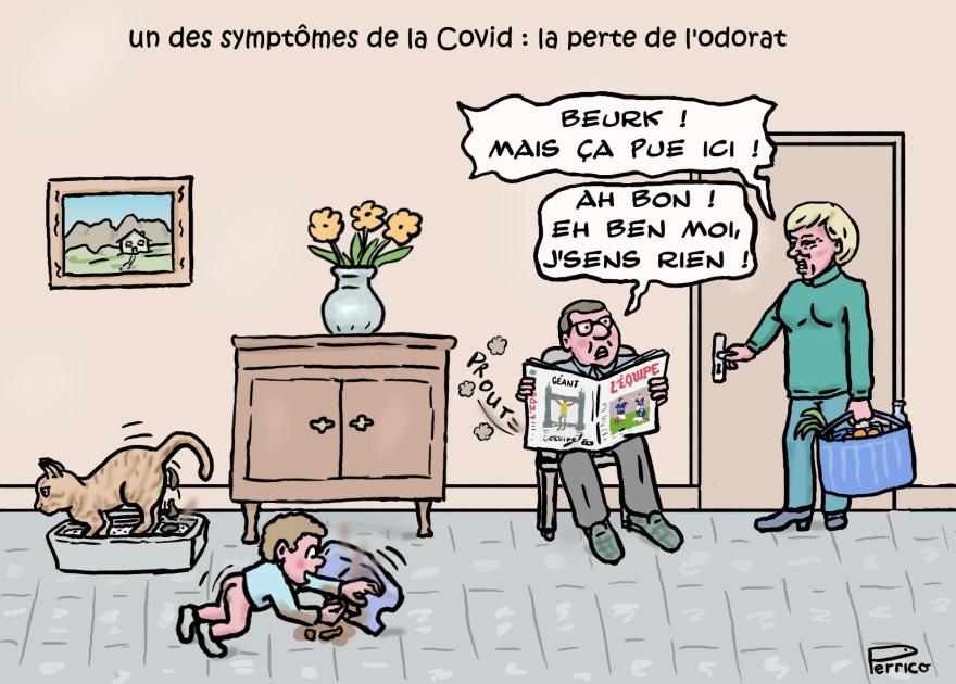 Covid-19 : perte de l'odorat