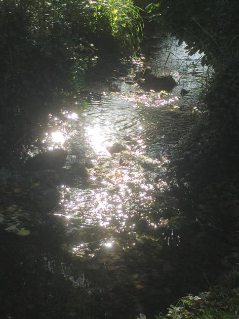 Le jardin du 19 Juillet