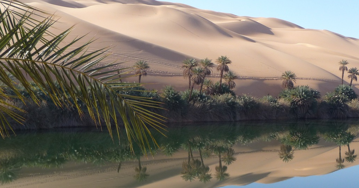 Oasis