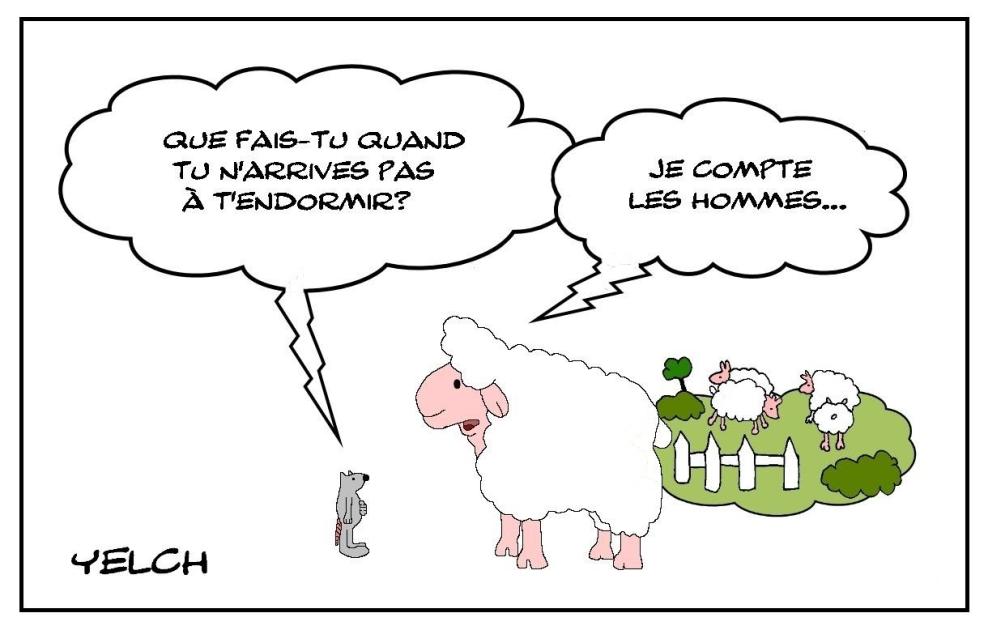 Quand les moutons dorment