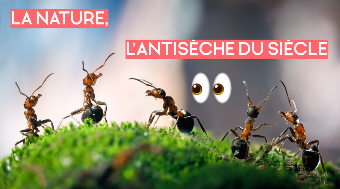 La Nature, l'Antisèche du siècle !