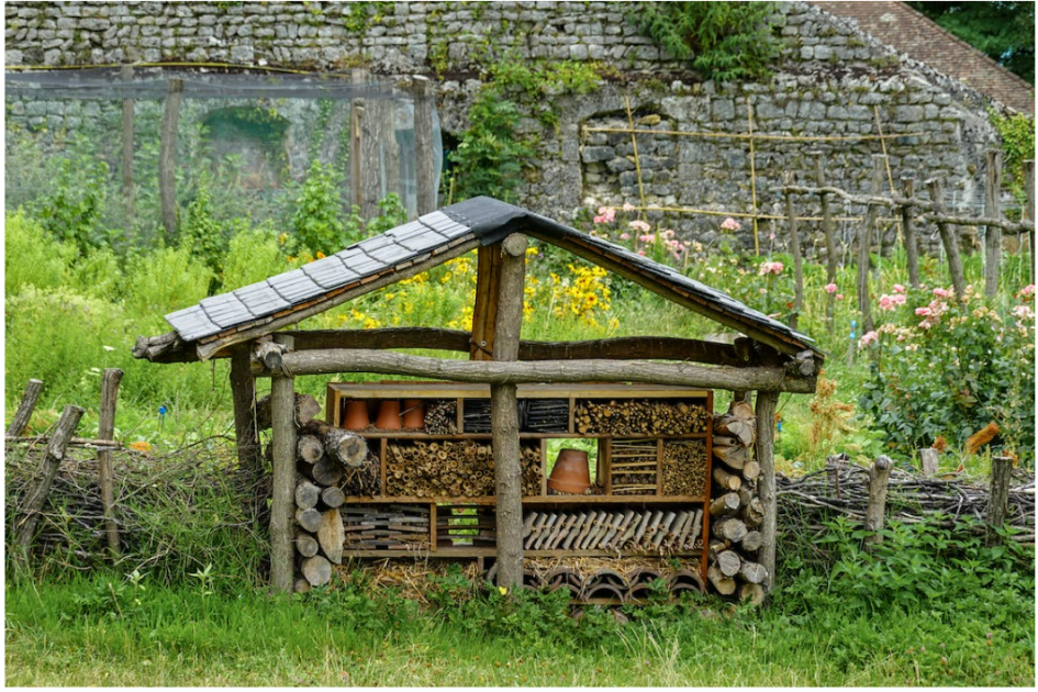 Co-jardinage – Editions Court Bouillon