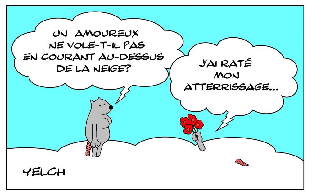 L'amour en volant