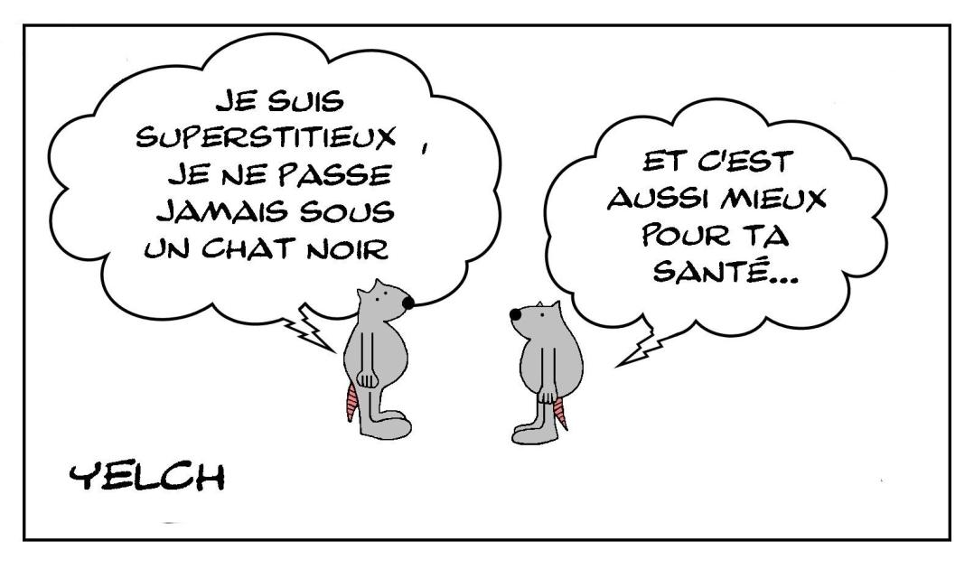 Ne jamais passer sous un chat noir
