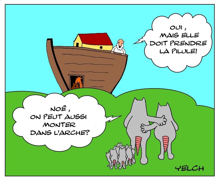 L'arche de Noé , les rats et la pilule