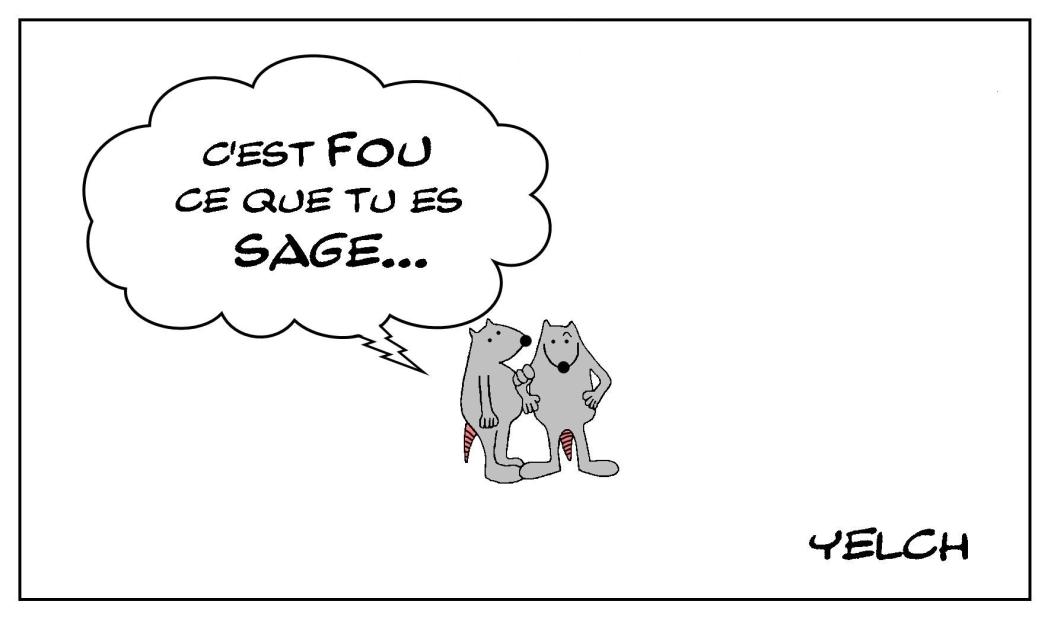 La folie de la sagesse