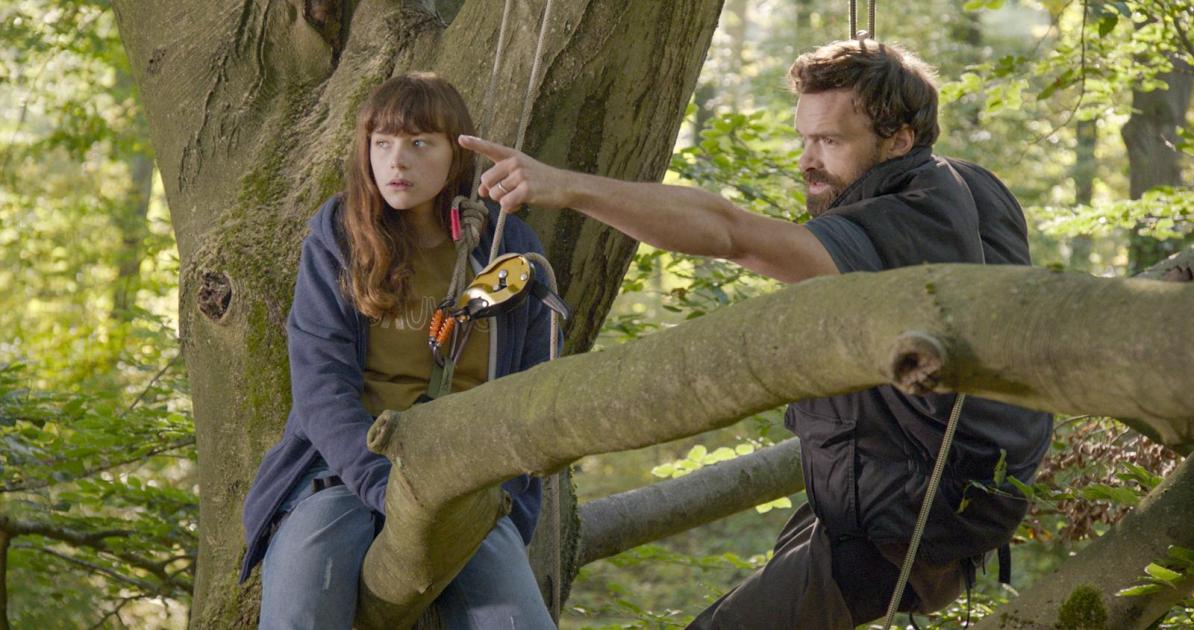La forêt de mon père (2020) Vero Cratzborn