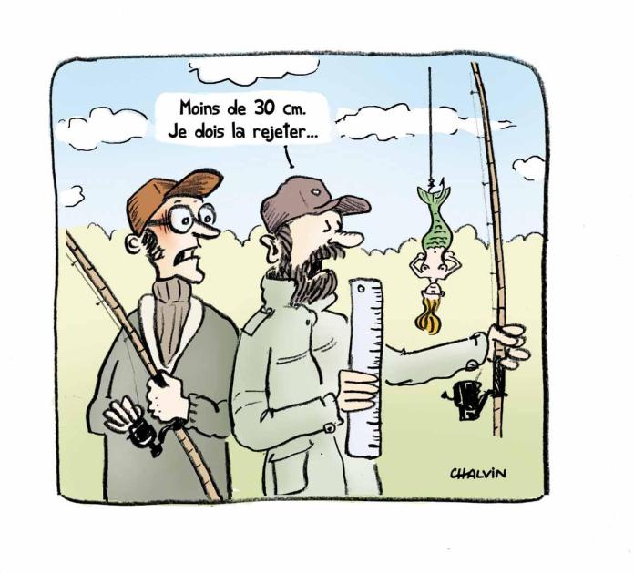 oh, une sirène