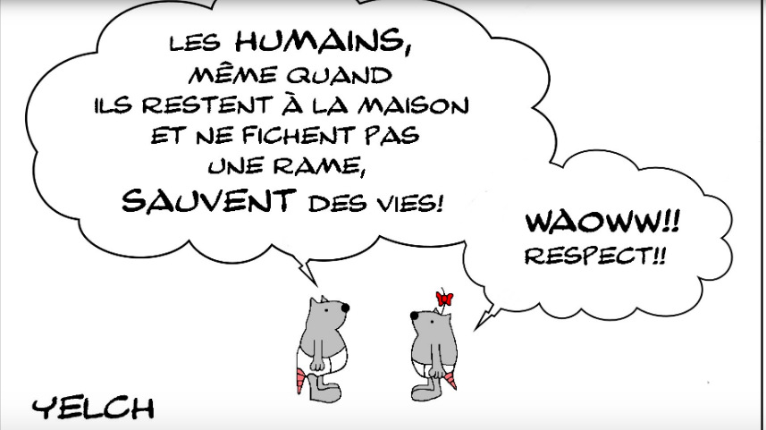 LES BEBES RATONS: LE CONFINEMENT