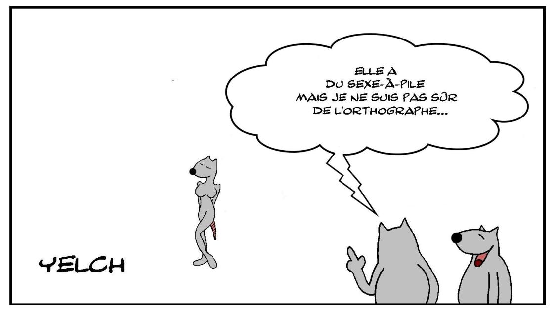 Sexe-à-pile