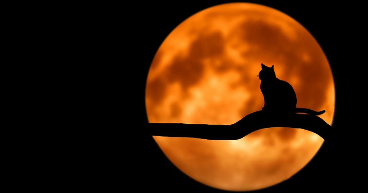 Nuit       