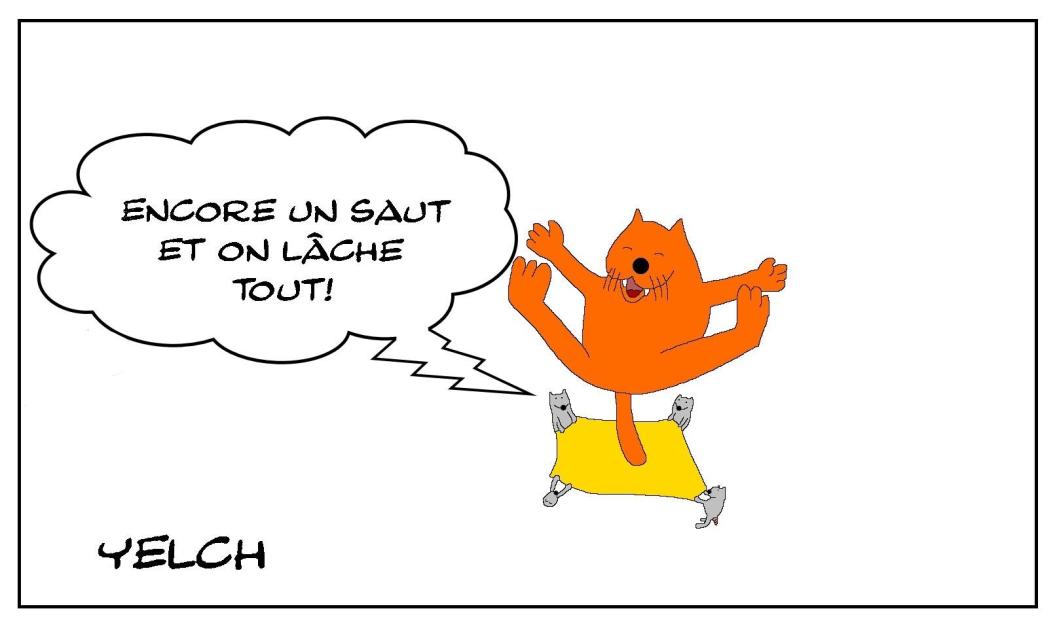 Le lâcher de chat