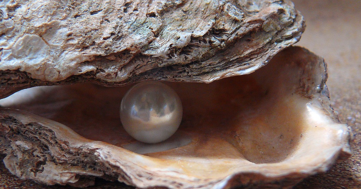 Perle
