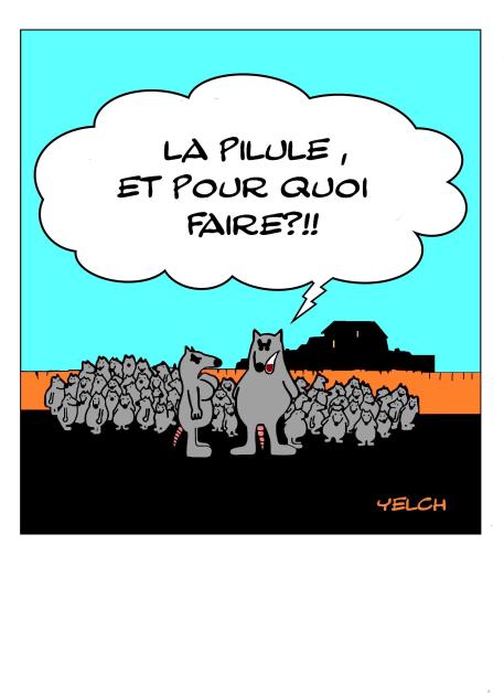 La pilule , et pour quoi faire ?