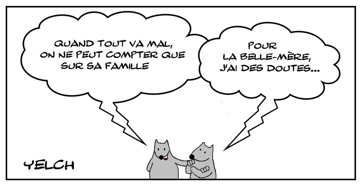 Tout sauf la belle-mère