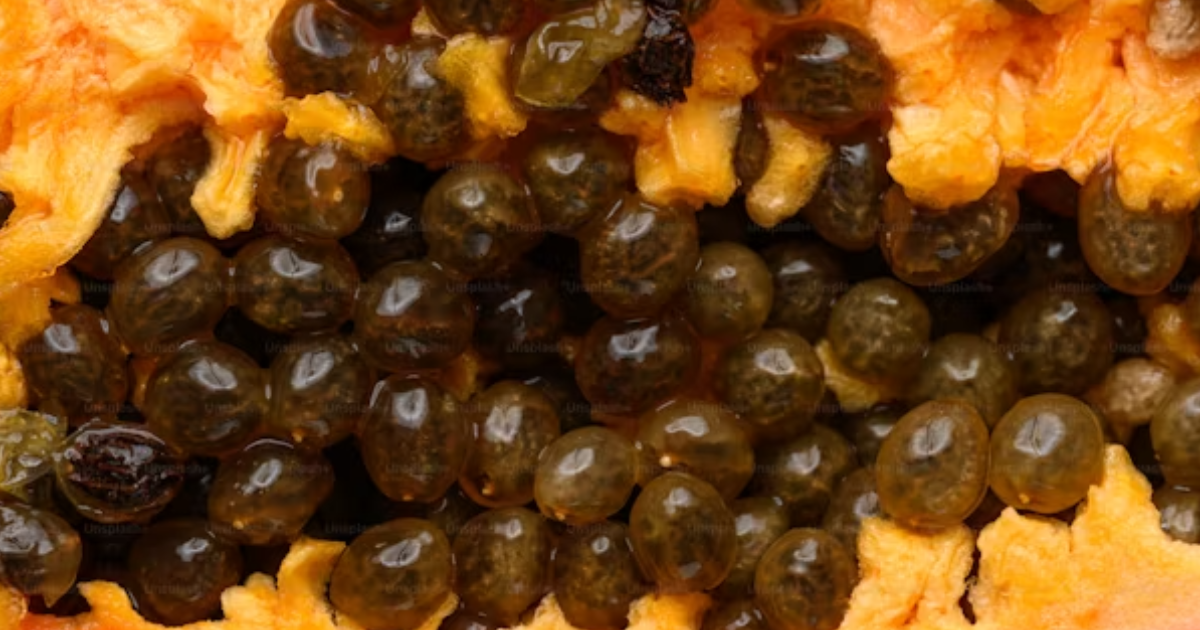 Caviar
