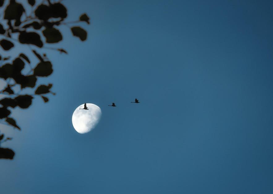 Sur ma lune