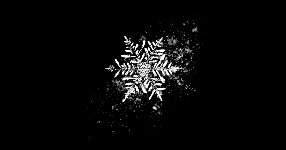 Un flocon de neige