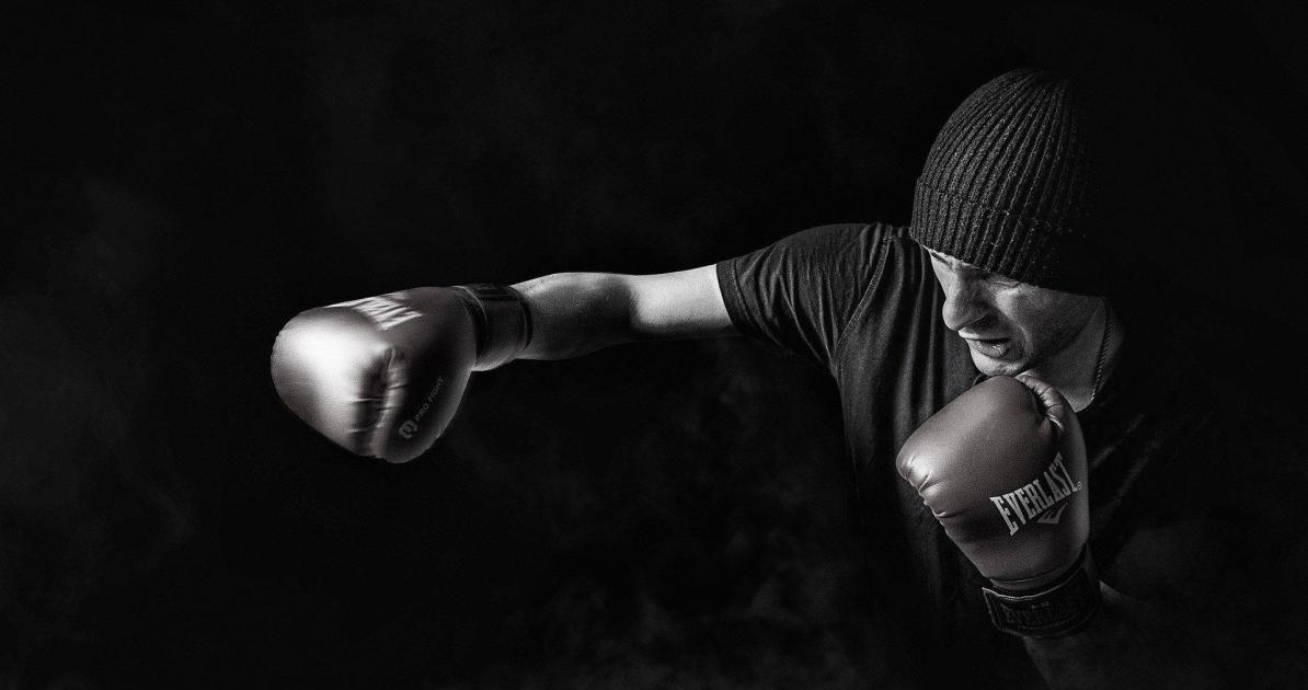 Ma vie, mon combat