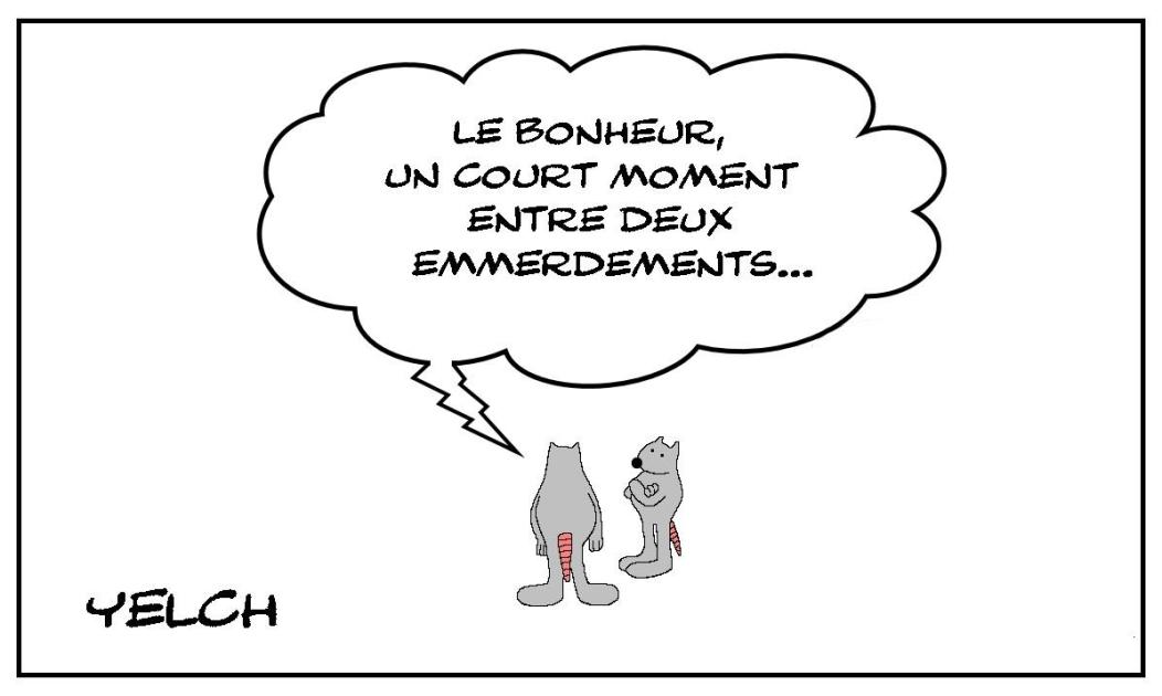 Bonheur et emmerdements