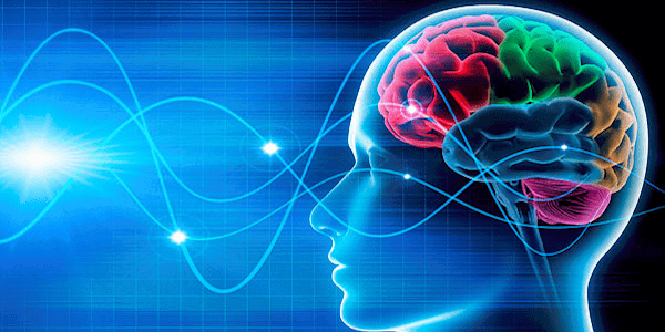 Neuroplasticity – A motivational cue to understand learning