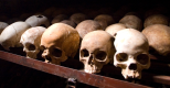 Génocide