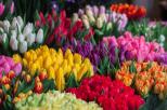 Le langage des fleurs