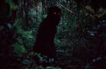Oncle Boonmee, celui qui se souvient de ses vies antérieures (LOONG BOONMEE RALEUK CHAAT, Apichatpong WEERASETHAKUL (2010)