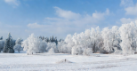 La neige qui illumine