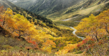 Un haïku d'automne