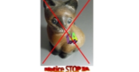 Application et promotion de la NOTICE STOP IA