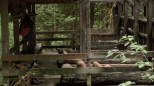 Old Joy (Kelly Reichardt, 2006)
