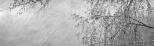 Hania