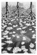 When Art Intersects with Mathematics: M.C. Escher