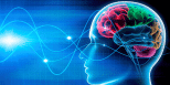 Neuroplasticity – A motivational cue to understand learning