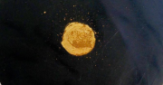 Cœur d'Or