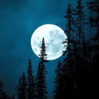 Eden Nocturne