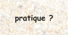 prev