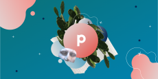 prev